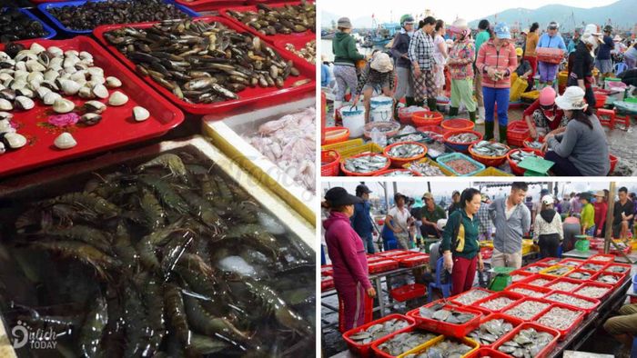 Bức tranh sinh động về phiên chợ đêm tại chợ Đầu mối Thủy sản Thọ Quang