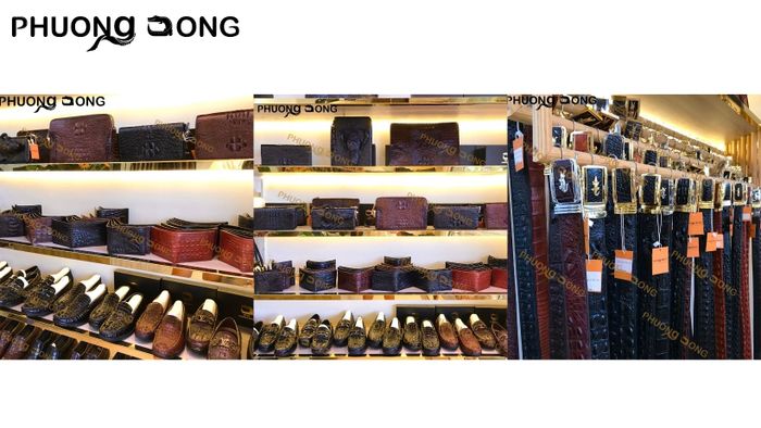 Cá Sấu Phương Đông - Hình ảnh 1
