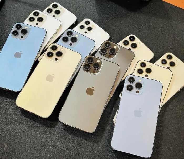 Hình ảnh DaLat Mobile (ảnh 2)