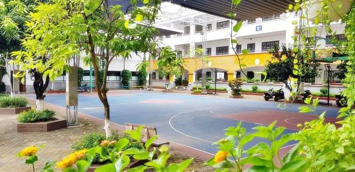 Trường Tiểu Học May - Hình Ảnh 1