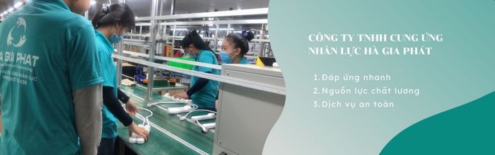 Hình ảnh hoạt động của Công ty TNHH Cung ứng nhân lực Hà Gia Phát
