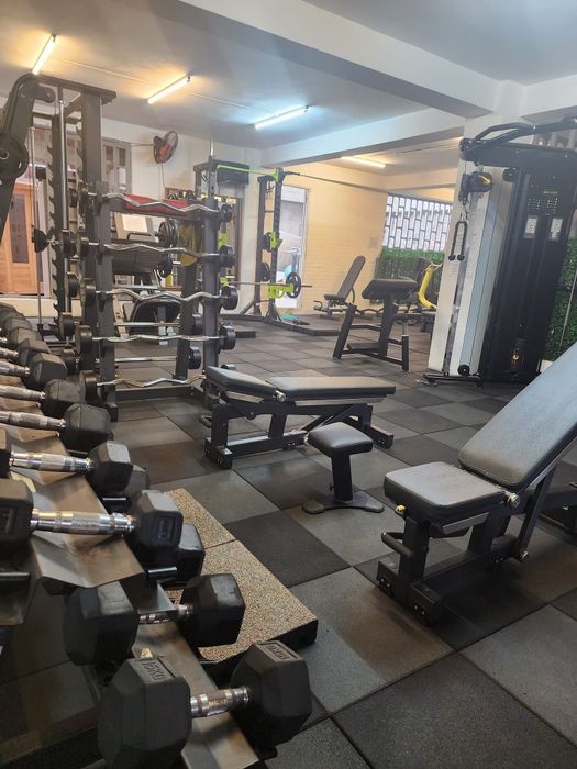 DT Gym & Fitness - Trải nghiệm tập luyện chuyên nghiệp (Ảnh 2)
