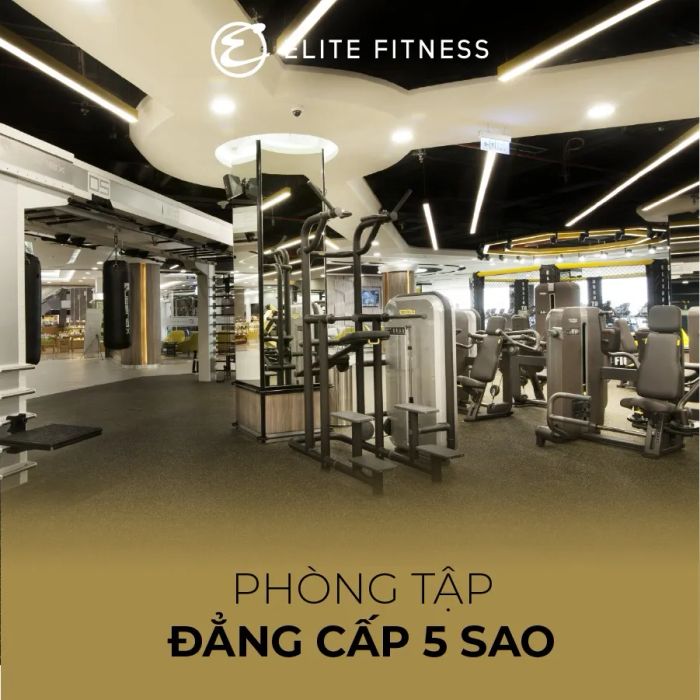 ELite Fitness Đà Nẵng ảnh 2
