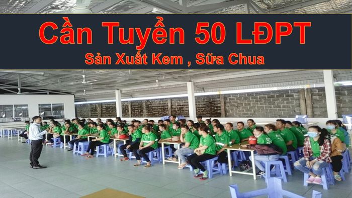 Hình ảnh đội ngũ chuyên nghiệp của Vin HR