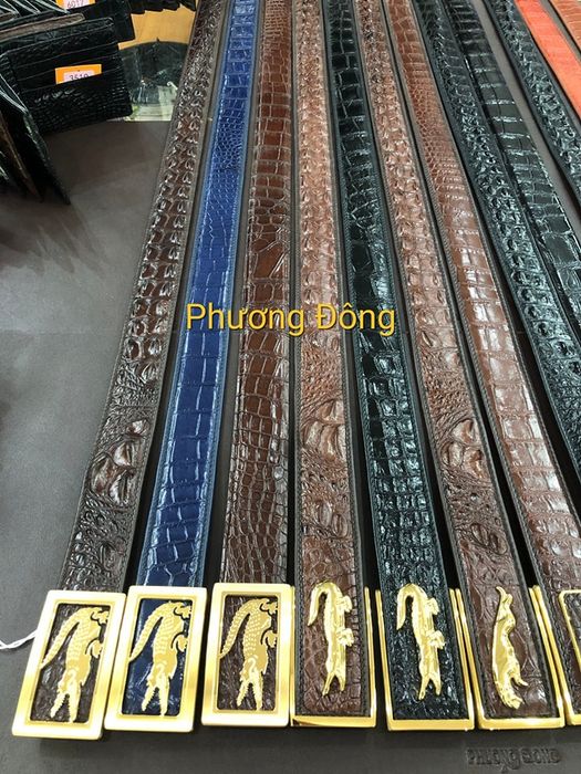 Cá Sấu Phương Đông - Hình ảnh 2