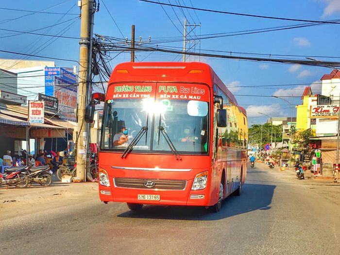 Hình ảnh xe Phương Trang (2)