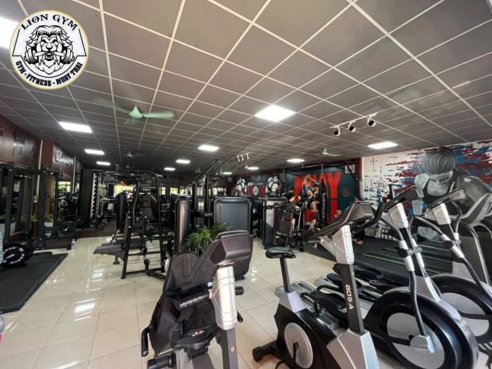 Lion Gym ảnh 1