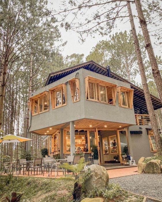 Rừng Thông Mơ Farm & Bistro ảnh 1: Khung cảnh thiên nhiên trong lành với những bàn ăn đặt giữa rừng thông xanh mát, nơi ẩm thực và thiên nhiên giao hòa.