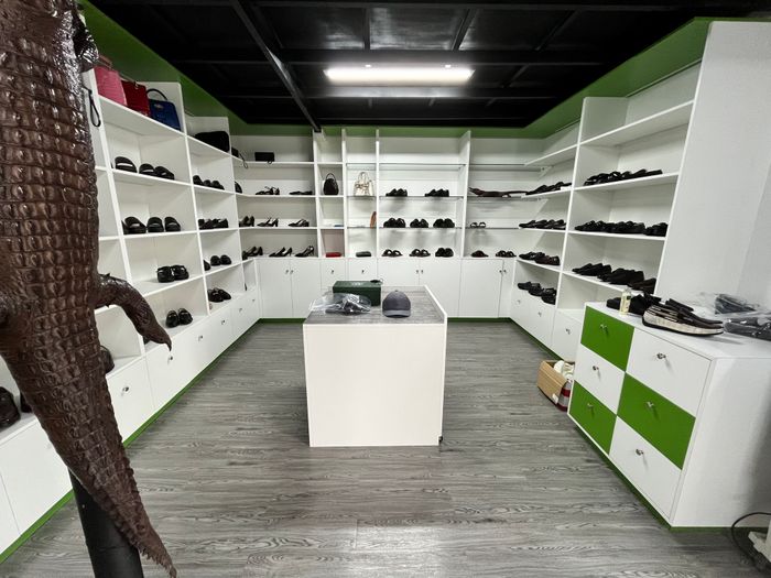 Hội Cá Sấu - Crocodile Shoes - Hình ảnh 2