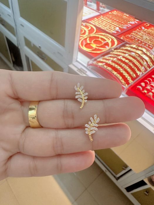 Vàng Bạc Bảo Ngọc Hạnh - Hình ảnh 2