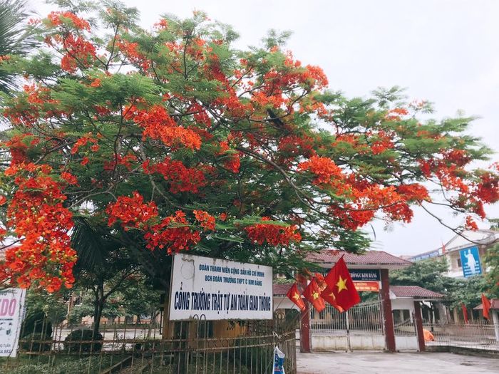 Hình ảnh 1