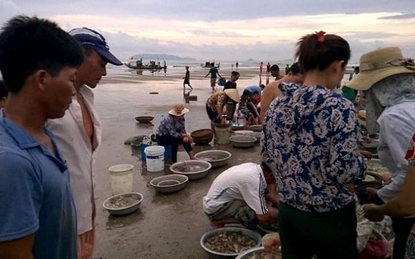 Khoảnh khắc bình minh rực rỡ tại chợ Hải Sản Thọ Quang