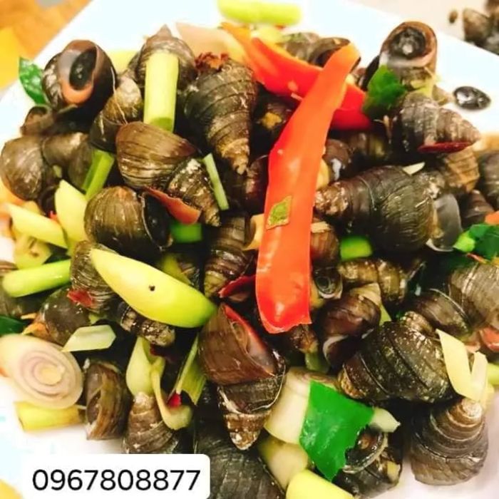 Không gian ấm cúng và những món ốc hấp dẫn tại Ốc Bà Liên