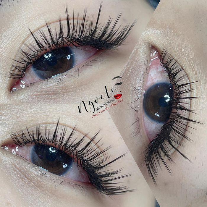 Nối Mi Ngọc Lê - Hình Ảnh 1