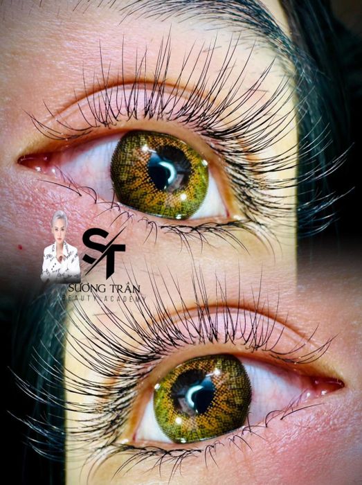 Nối Mi Sương Trần - Hình Ảnh 1