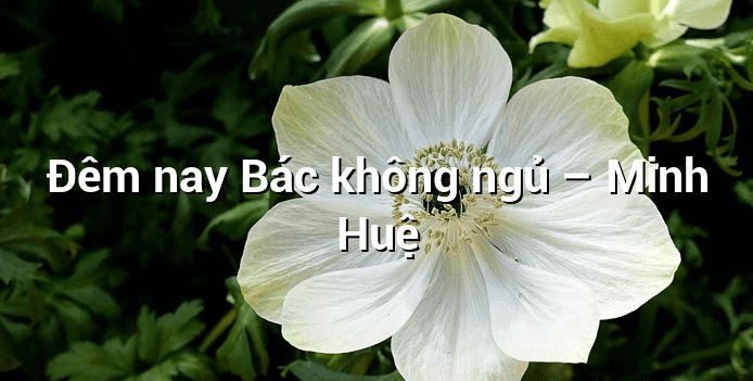 Hình ảnh minh họa (Nguồn từ internet) Ảnh 1