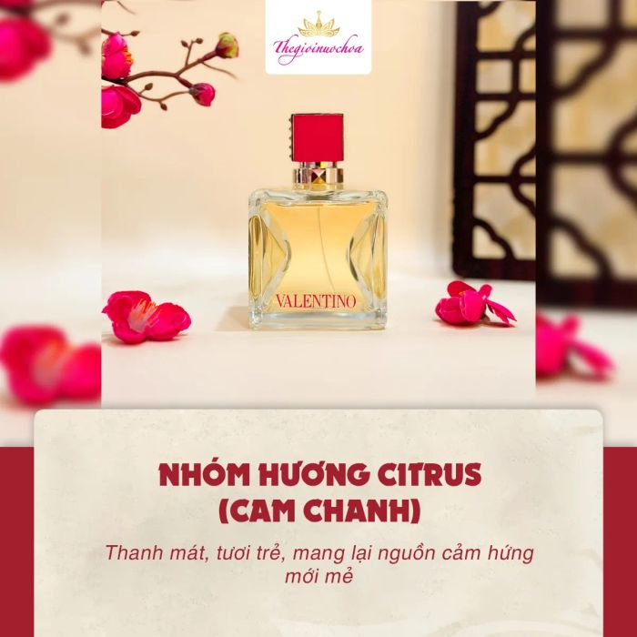 Thế Giới Nước Hoa - Hình ảnh 2 với bộ sưu tập nước hoa đẳng cấp