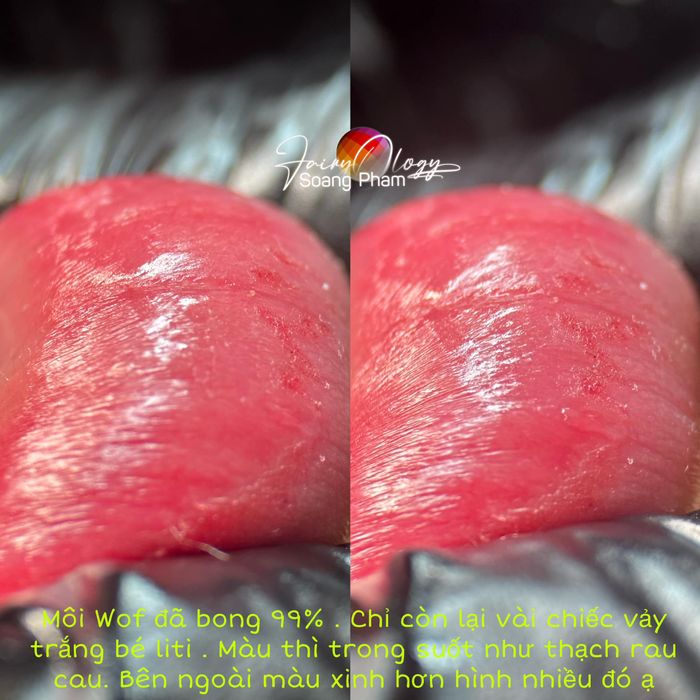 Bộ sưu tập hình ảnh dịch vụ chất lượng tại Xăm Phun Soang Phạm