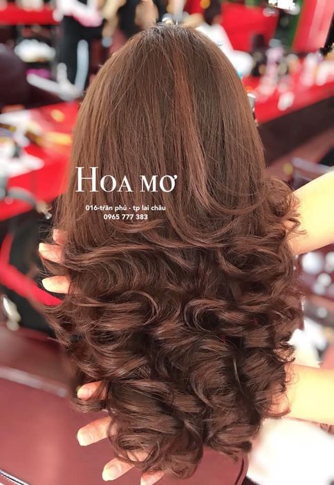Salon Hoa Mơ Ảnh 2