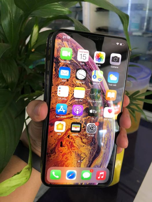 Apple Oanh Quốc hình ảnh 2
