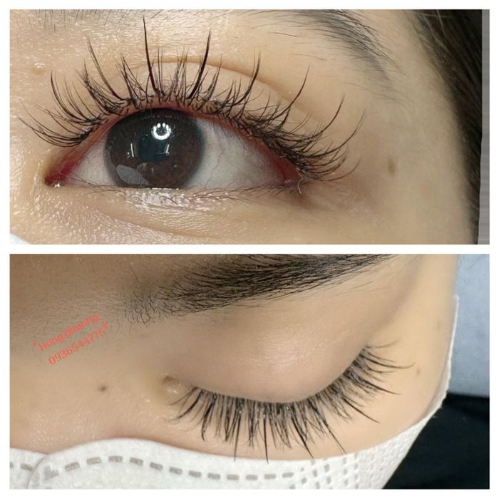 Phượng Eyelash - Hình Ảnh 1