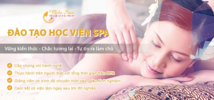 Viện thẩm mỹ Midu Spa ảnh 2 - Góc nhìn nghệ thuật về không gian sang trọng