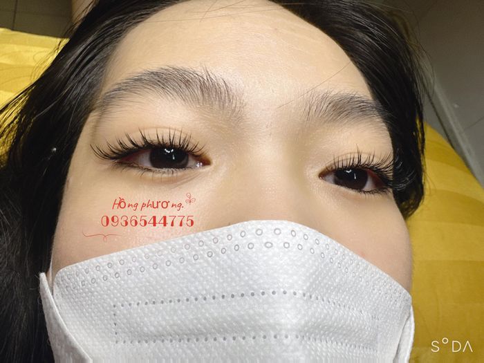 Nối Mi Sương Trần - Hình Ảnh 2