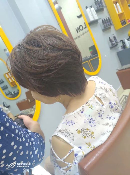 Phạm Rồng-salon - Hình ảnh 1