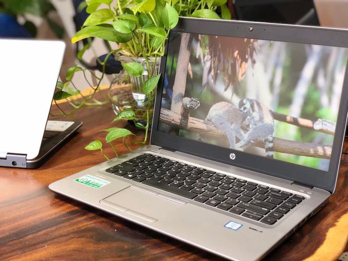 LaptopBamboo ảnh 2 - Góc nhìn chân thực về vẻ đẹp từ thiên nhiên