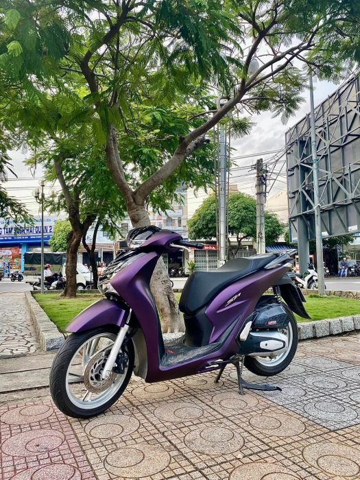 Tác phẩm nghệ thuật từ bàn tay tài hoa của Minh Decal Nha Trang
