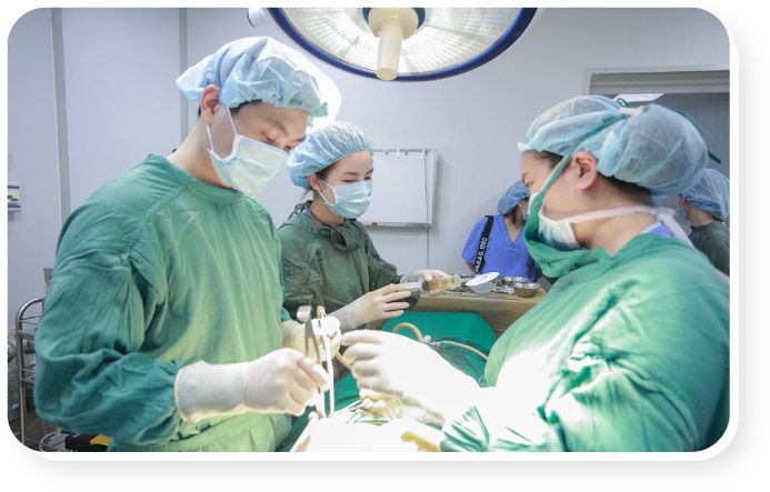 Ths.Bs.Bùi Hữu Phước - Ánh mắt của người nghệ sĩ tạo hình (Ảnh 1)