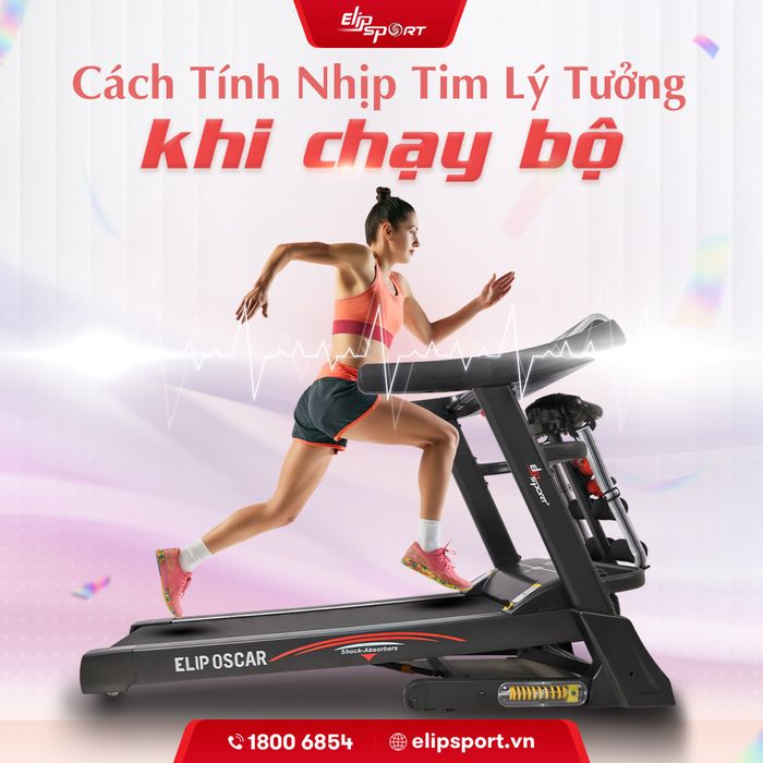 Hệ thống sản phẩm đa dạng tại Elipsport