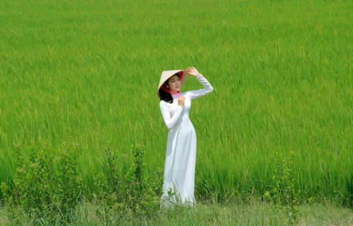 Hình ảnh minh họa sinh động (Nguồn: Tổng hợp)