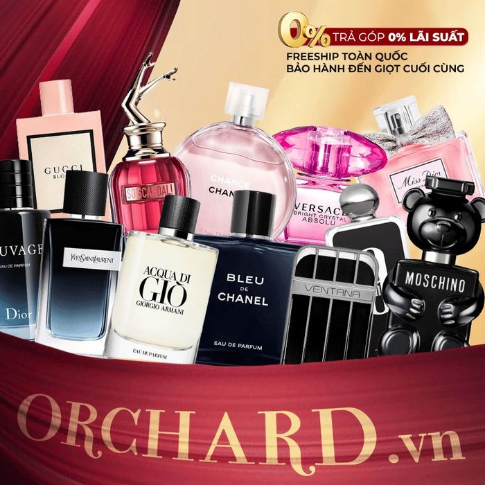 Không gian trưng bày đa dạng tại Orchard.vn