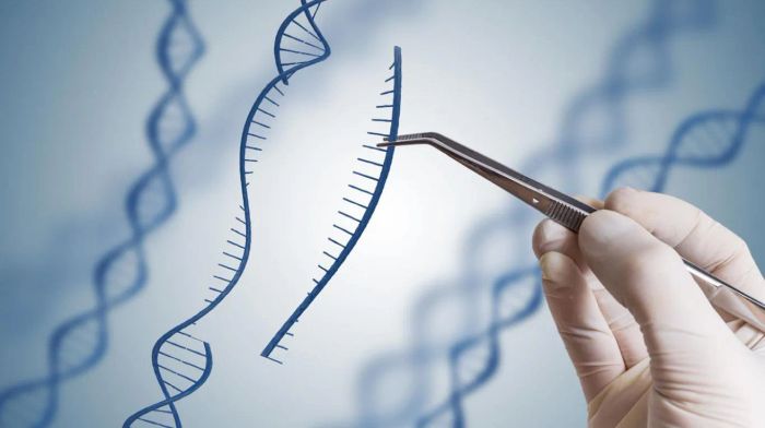 Hình ảnh phòng lab hiện đại tại Trung tâm Công nghệ Di truyền Việt Nam