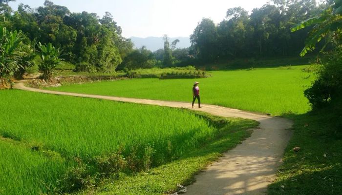 Tranh minh họa chân thực (Nguồn: Sưu tầm)