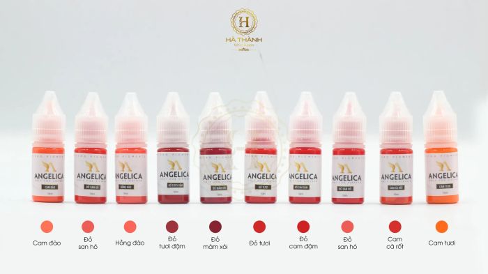 Hà Thành Tattoo Supply ảnh 1 – Không gian trưng bày sản phẩm đẳng cấp và hiện đại