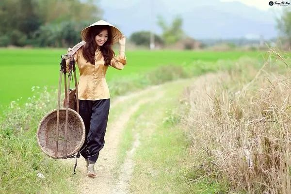 Tranh minh họa đặc sắc (Nguồn: Sưu tầm)