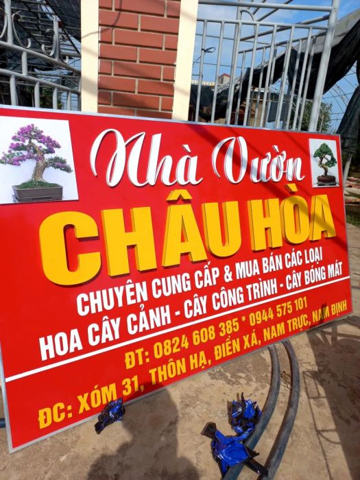 Dự án tiêu biểu của Trang Lượng Advertising