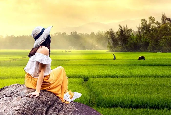 Hình ảnh minh họa sống động (Nguồn: Sưu tầm)
