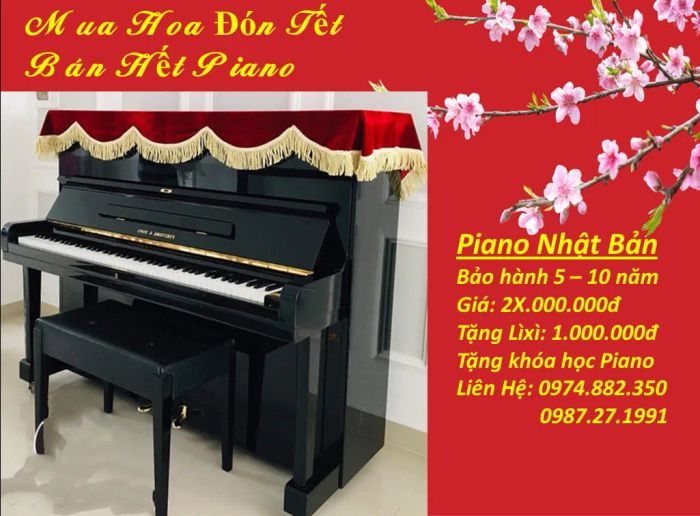 Piano Tiến Bình ảnh 2