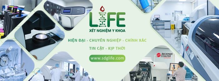 Không gian phòng lab đạt chuẩn quốc tế tại LIFE