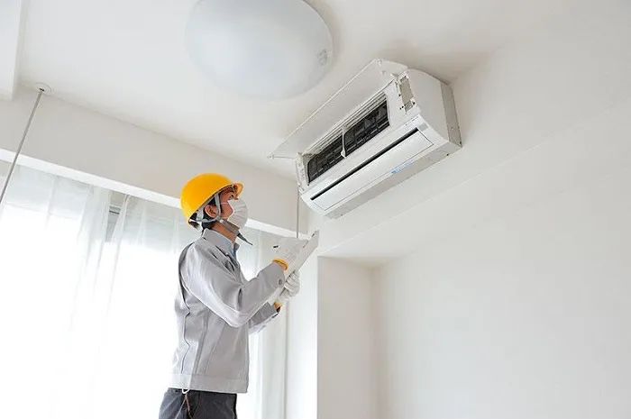 Ảnh Minh Họa (Nguồn Internet) Ảnh 1