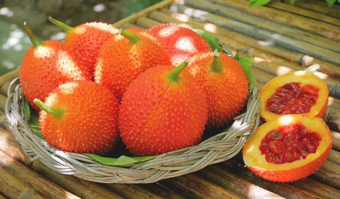 Hình ảnh minh họa sống động (Nguồn: Internet) ảnh 1