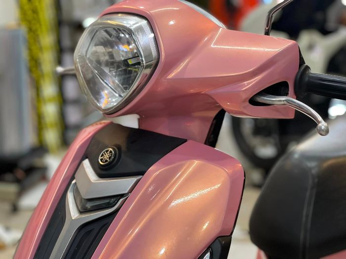 Hoàng Decal ảnh 1