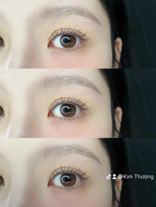 Kim Thương Academy hình ảnh 2