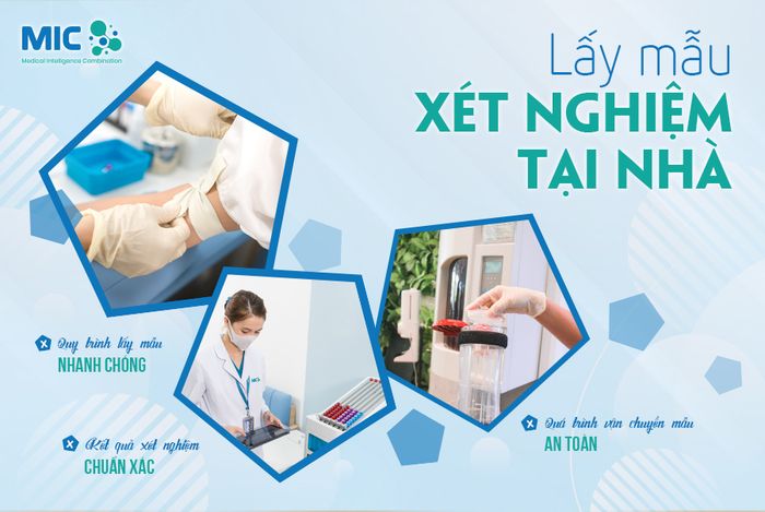 MIC Vietnam hình ảnh 1