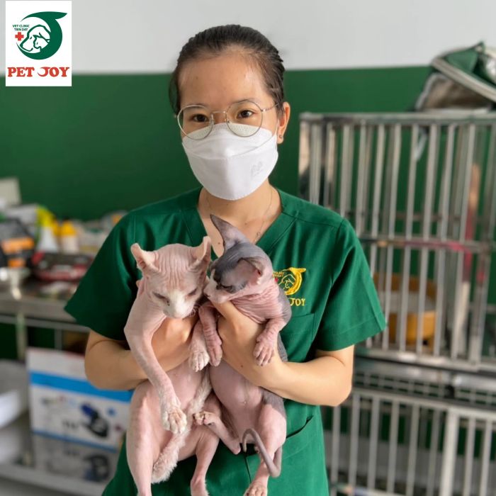 Phòng Khám Thú Y Pet Joy ảnh 1