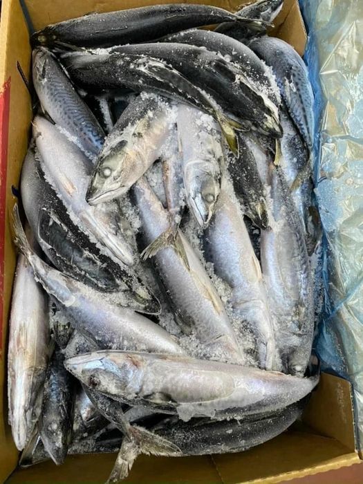 Hình ảnh sản phẩm thực phẩm đông lạnh cao cấp tại Zin Food