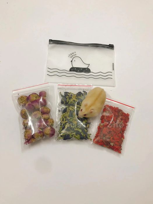 Jerry Hamster Shop ảnh 2